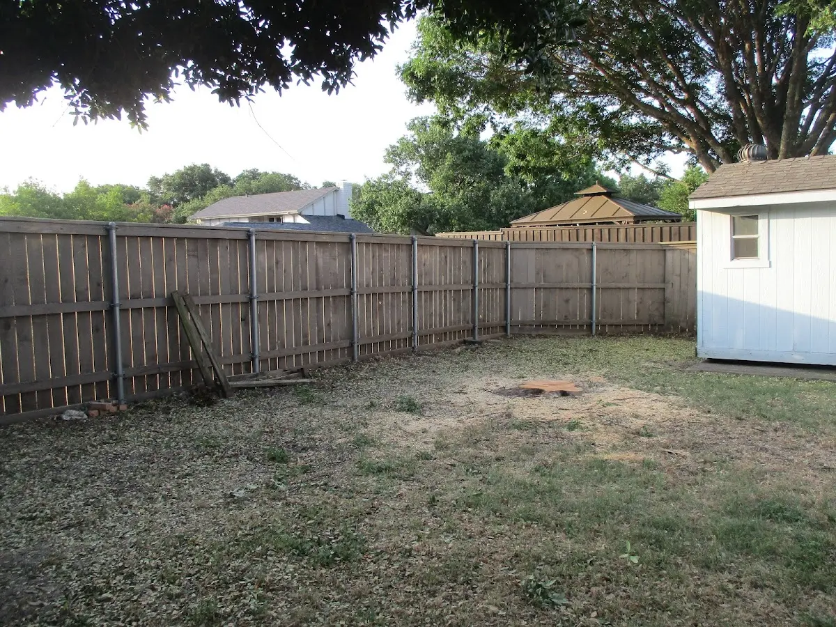 Cleared yard after professional tree removal in Greer